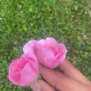 Meet your Posher, Clare